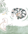 Un gato que vivió un millón de vidas - Leo Leo Libros