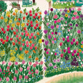 El jardín de Monet - Leo Leo Libros