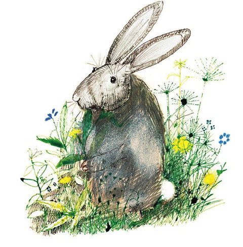 La excursión del señor Gumpy