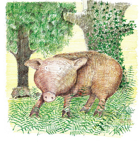 La excursión del señor Gumpy