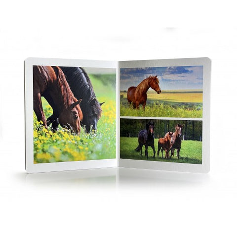 Los Animales de Granja. Gran Formato.