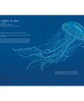 Misteriosas Medusas - Leo Leo Libros