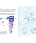 Misteriosas Medusas - Leo Leo Libros