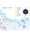 Misteriosas Medusas - Leo Leo Libros