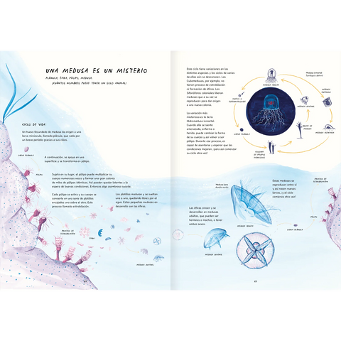 Misteriosas Medusas - Leo Leo Libros