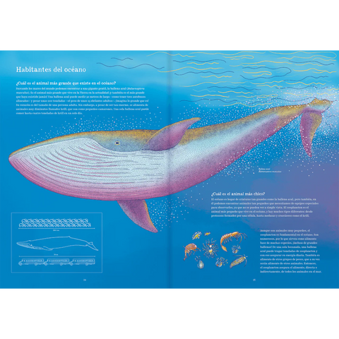 Oceánica