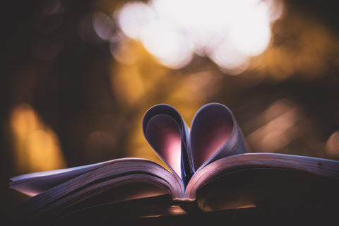 Libros en liquidación