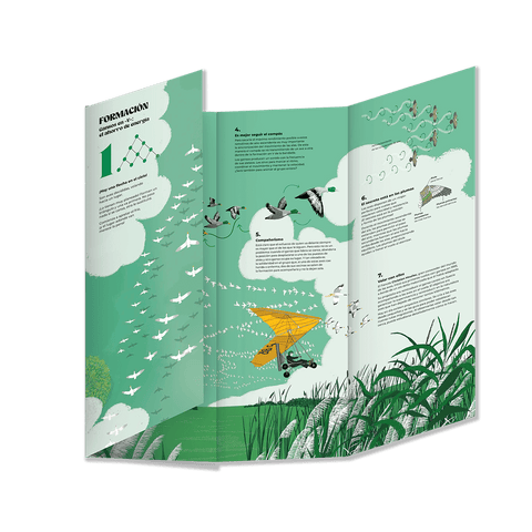 Coreografías animales