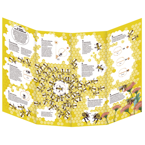 Coreografías animales