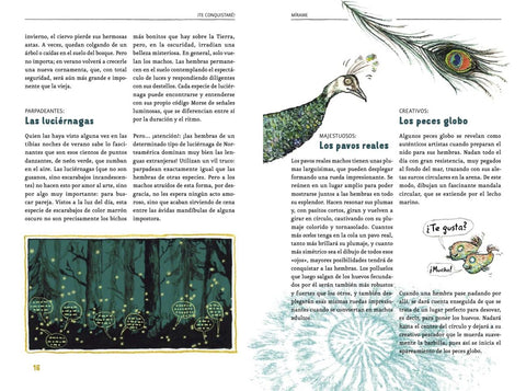 Interior de La vida amorosa de los animales — Takatuka