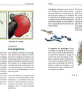 Interior de La vida amorosa de los animales — Takatuka