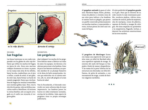 Interior de La vida amorosa de los animales — Takatuka