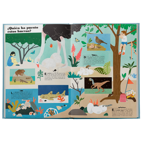 Interior de Museo Animal — detalles del mundo animal