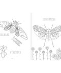 Insectopinta - Leo Leo Libros