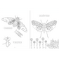 Insectopinta