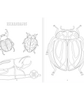 Insectopinta - Leo Leo Libros