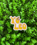 Stickers Leo Leo - Leo Leo Libros