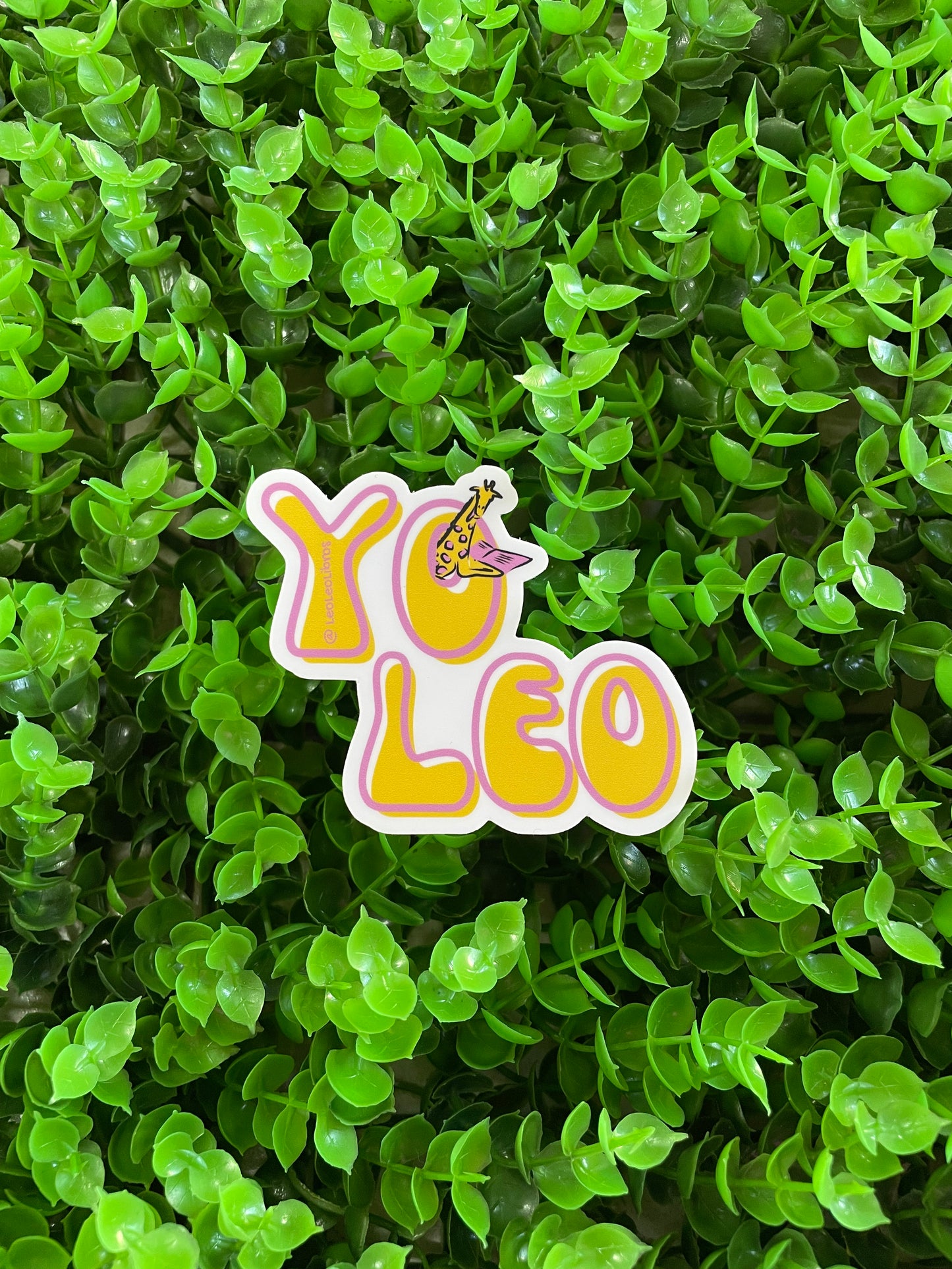Stickers Leo Leo