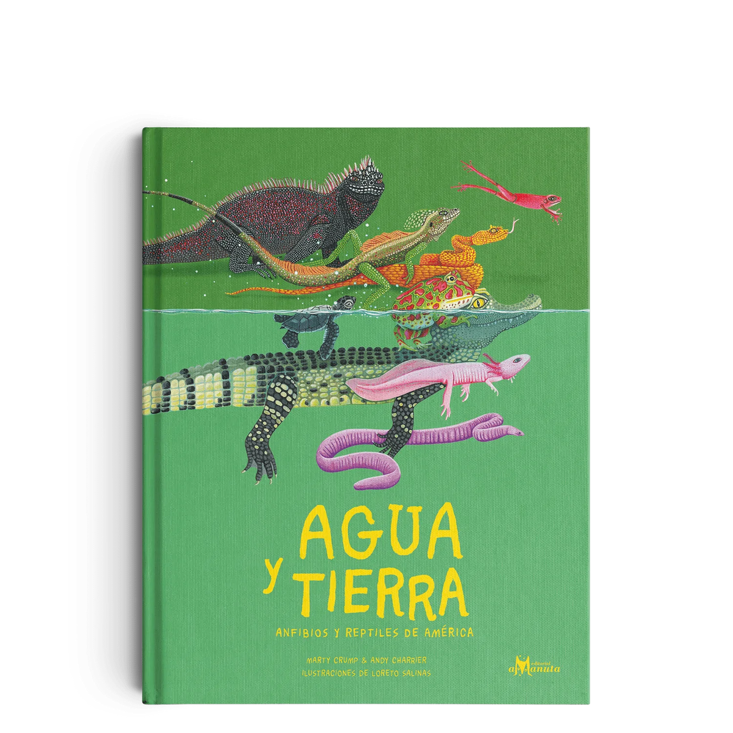 Agua y tierra: anfibios y reptiles de América