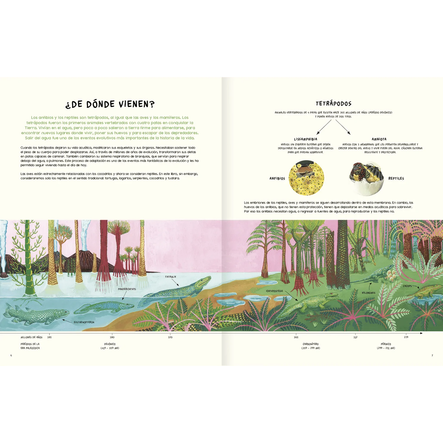 Agua y tierra: anfibios y reptiles de América