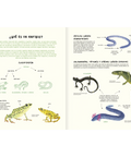 Agua y tierra: anfibios y reptiles de América - Leo Leo Libros