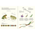 Agua y tierra: anfibios y reptiles de América - Leo Leo Libros