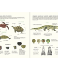 Agua y tierra: anfibios y reptiles de América - Leo Leo Libros