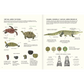 Agua y tierra: anfibios y reptiles de América
