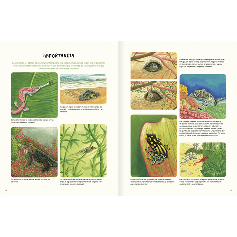 Agua y tierra: anfibios y reptiles de América - Leo Leo Libros