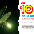 Bichos del 1 al 10 - Leo Leo Libros