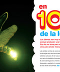 Bichos del 1 al 10 - Leo Leo Libros