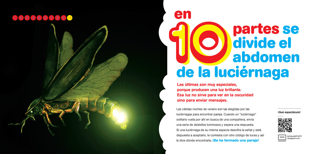 Bichos del 1 al 10