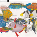 Curiosa Naturaleza - Leo Leo Libros