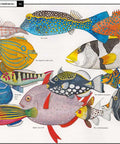 Curiosa Naturaleza - Leo Leo Libros