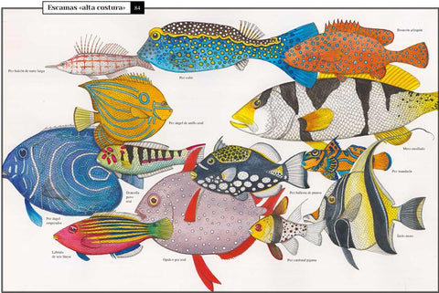 Curiosa Naturaleza - Leo Leo Libros
