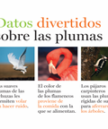 Plumas y más plumas - Leo Leo Libros