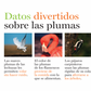 Plumas y más plumas