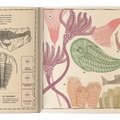 Paisajes perdidos de la tierra - Leo Leo Libros