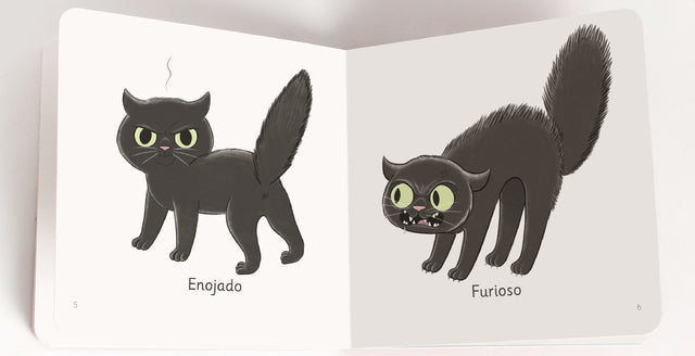 ¡Miau!