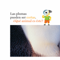 Plumas y más plumas - Leo Leo Libros
