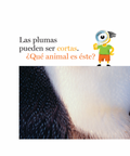 Plumas y más plumas - Leo Leo Libros