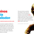 Animales extiguidos del 1 al 10 - Leo Leo Libros