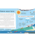 El libro de las comparaciones - Leo Leo Libros