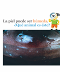 Pieles y más pieles - Leo Leo Libros