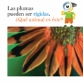 Plumas y más plumas - Leo Leo Libros