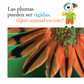 Plumas y más plumas