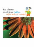 Plumas y más plumas - Leo Leo Libros