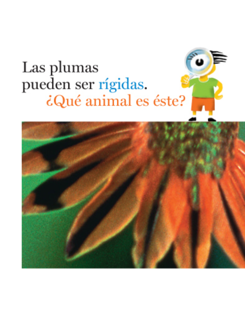 Plumas y más plumas