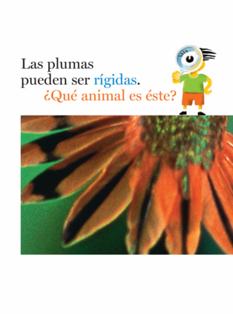 Plumas y más plumas - Leo Leo Libros