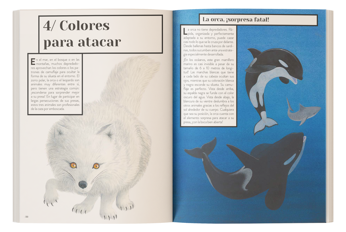 Color animal